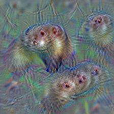 n02443114 polecat, fitch, foulmart, foumart, Mustela putorius
